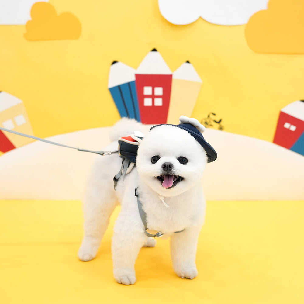 Academy Backpack Harness Set