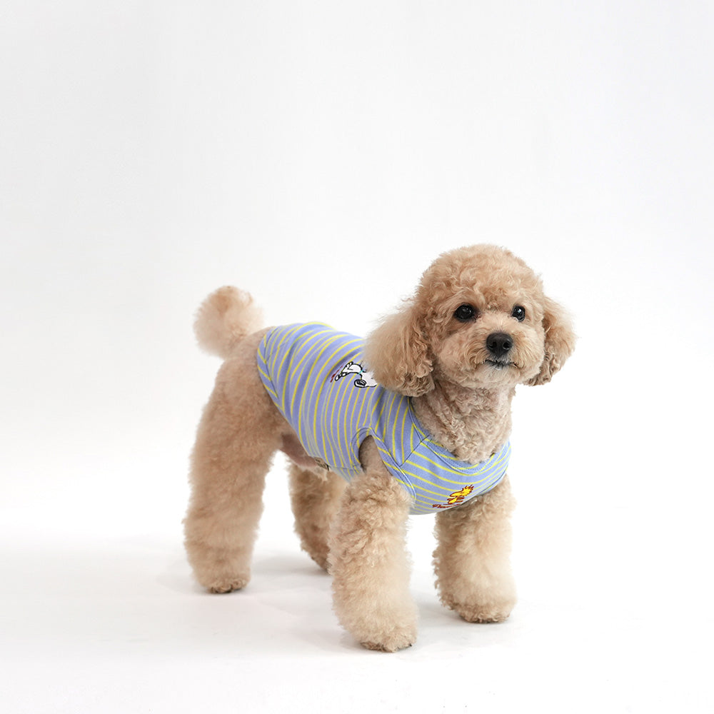 Peanuts Color Stripe T