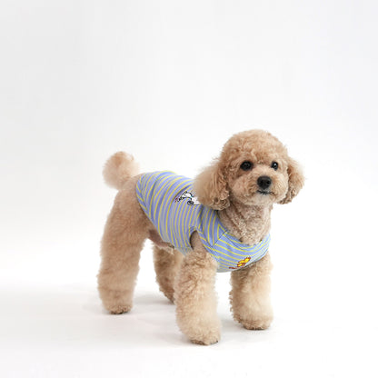 Peanuts Color Stripe T
