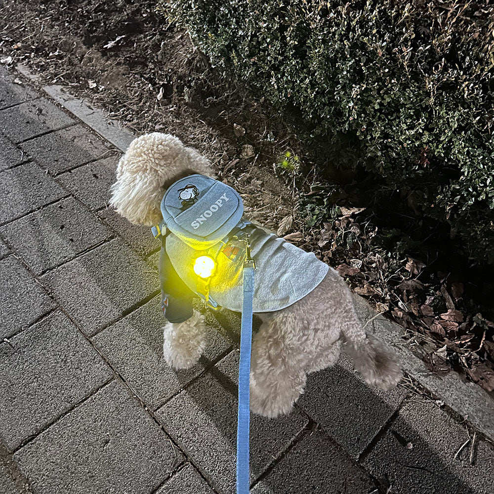 Peanuts Blinker