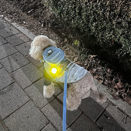 Peanuts Blinker