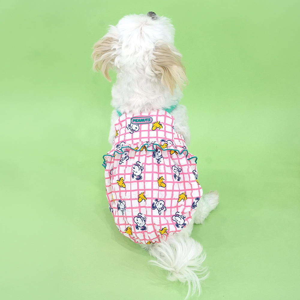 Peanuts Summer Check Pumpkin Dress