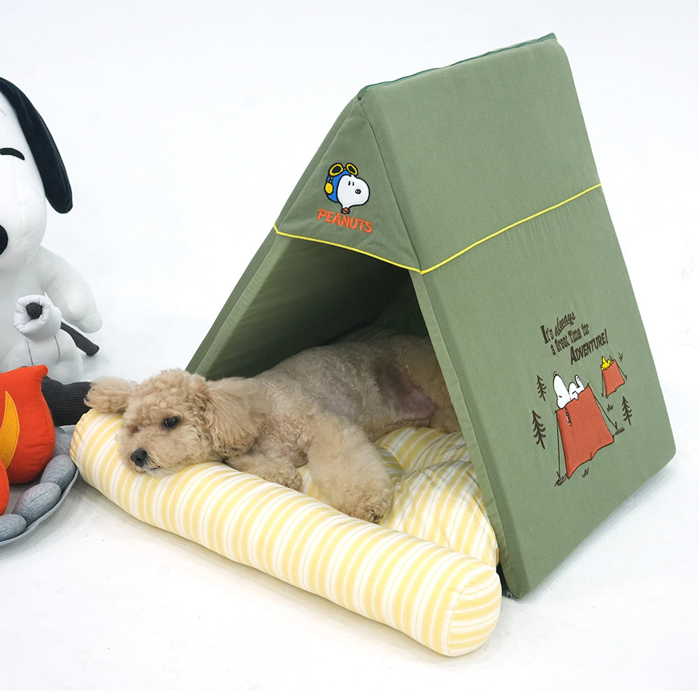 Peanuts Adventure Tent House