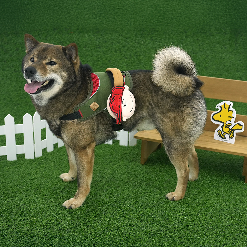 Peanuts Poop Bag Pouch