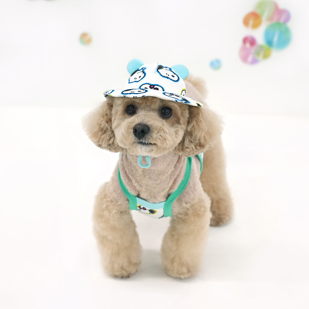 Peanuts Bubble Mesh Crop T-Shirt Set