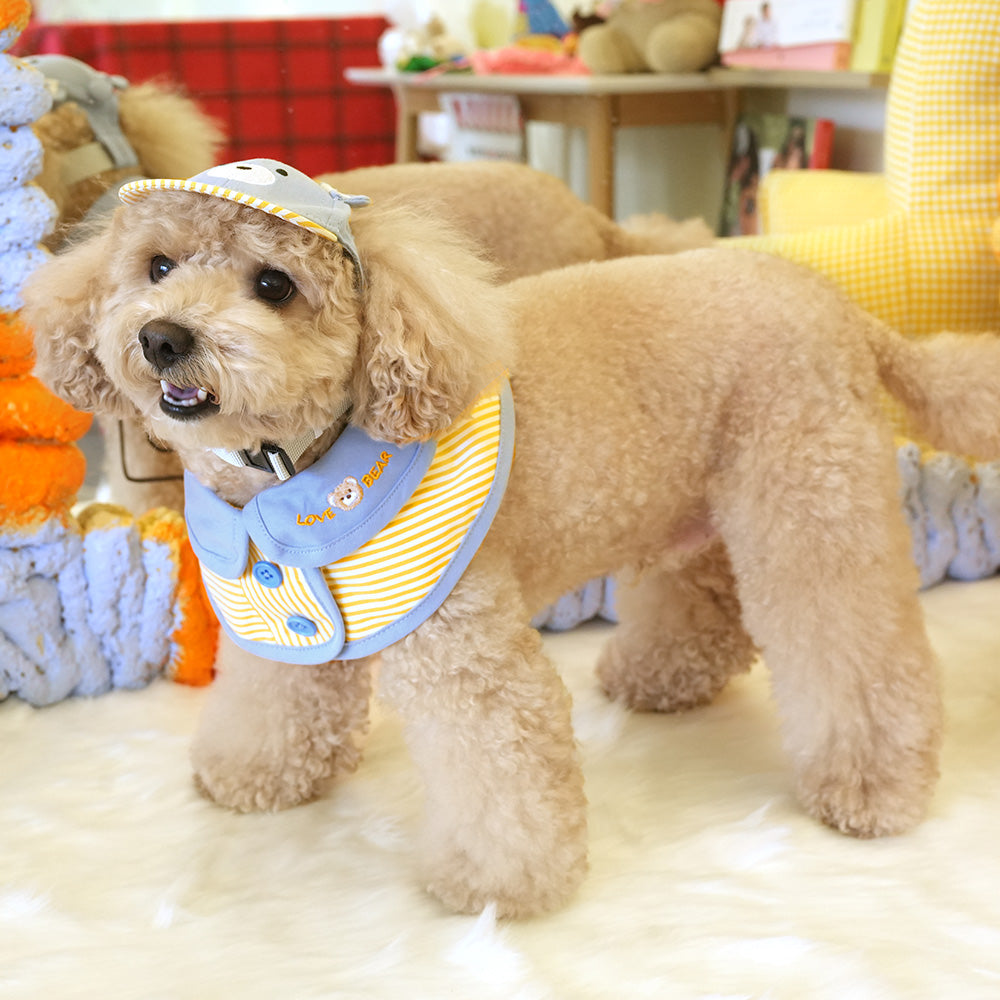 Bear Cape & Ball Cap Set