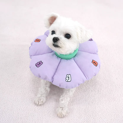 Jelly Bear Neck Collar