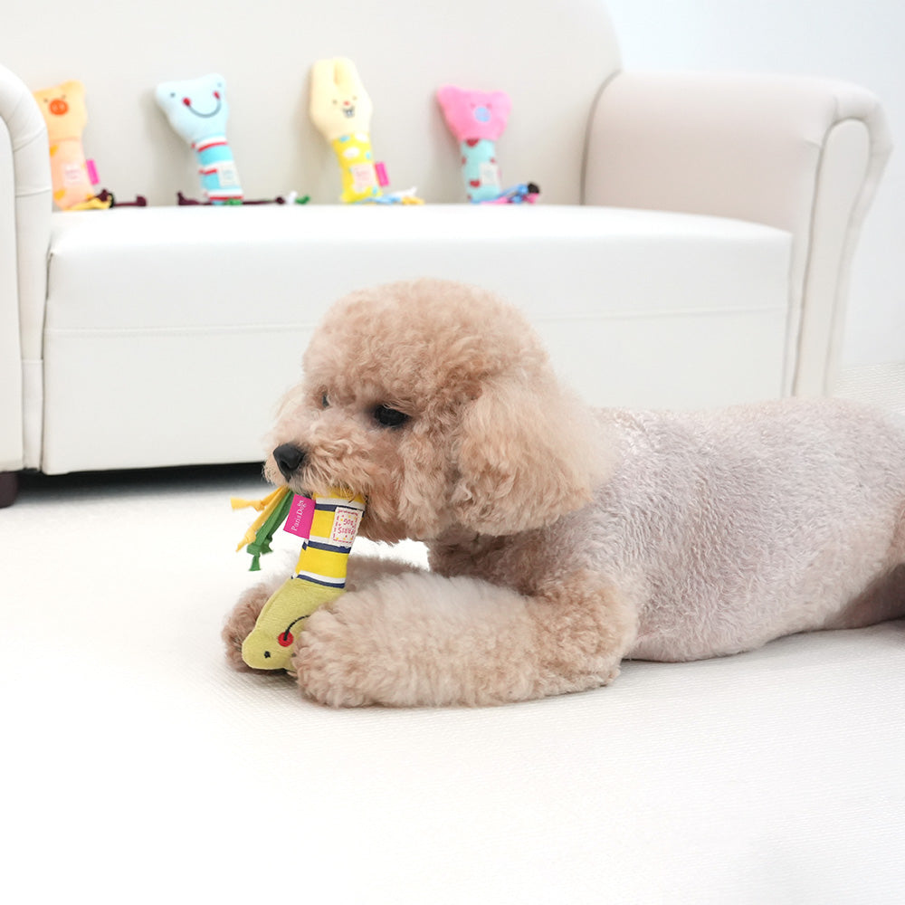 Interest Awaken Toy 1