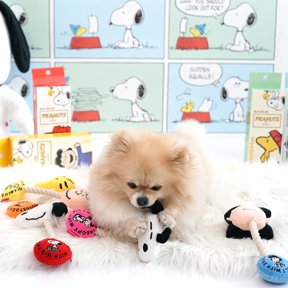 Peanuts Rope Toy
