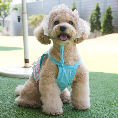 Peanuts Cool Check Rashguard Set