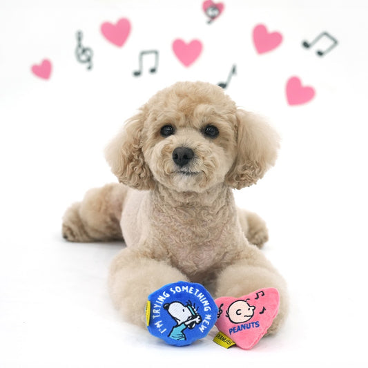 Peanuts 75th Anniversary Friends Snack Toy Set