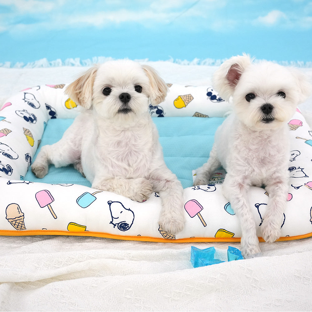 Peanuts Popsicle Cool Flat Bed