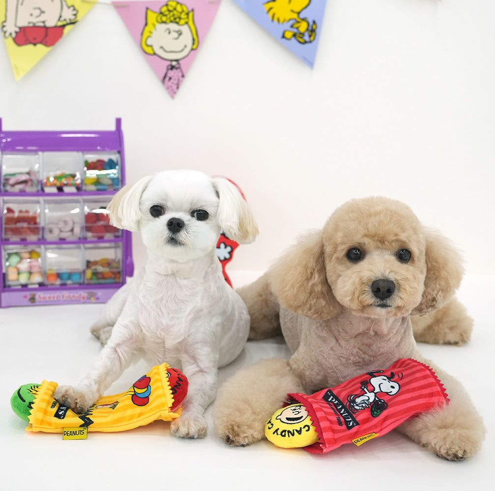 Peanuts Candy Bar Snack Toy