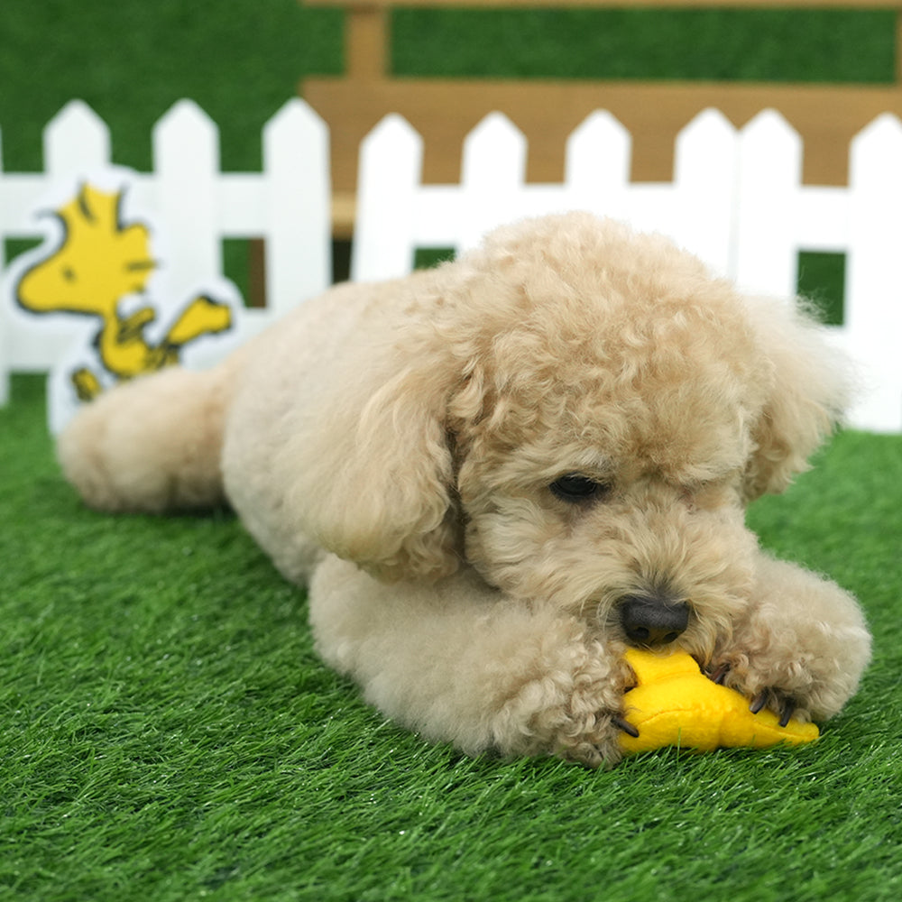 Peanuts Golf & Tennis Rope Toy