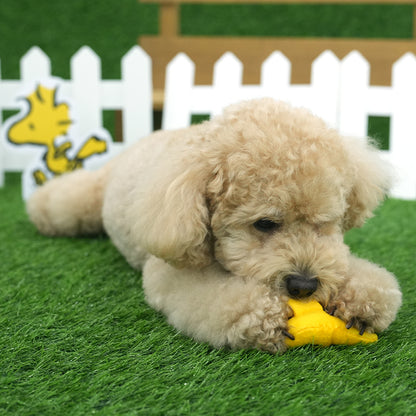 Peanuts Golf & Tennis Rope Toy