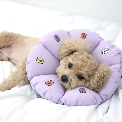 Jelly Bear Neck Collar