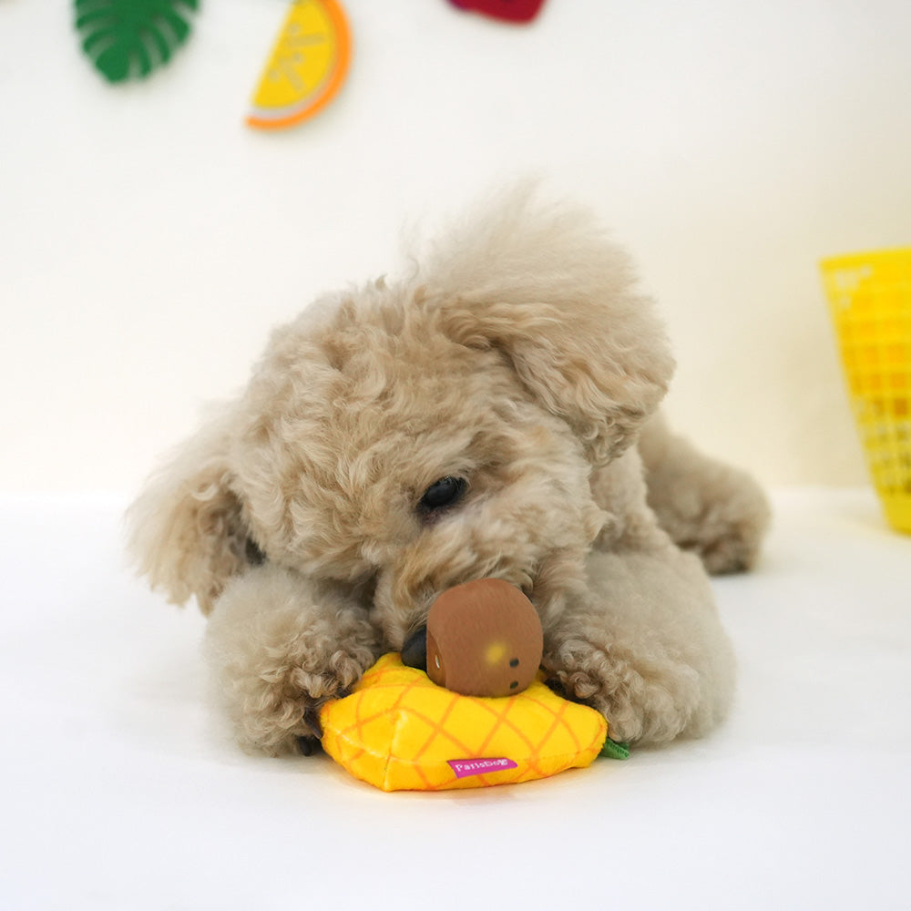 Combo Latex Snack Play Toy