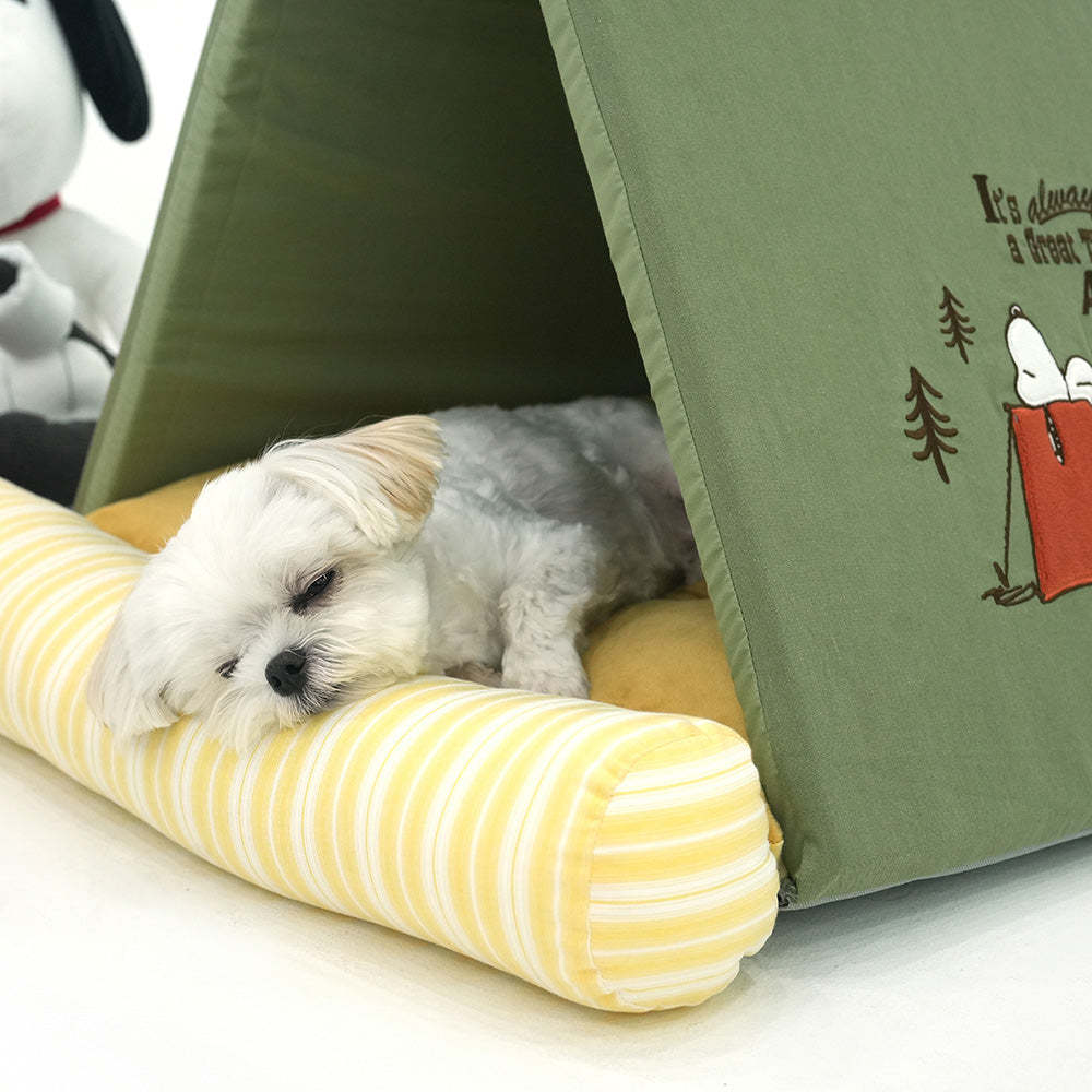 Peanuts Adventure Tent House