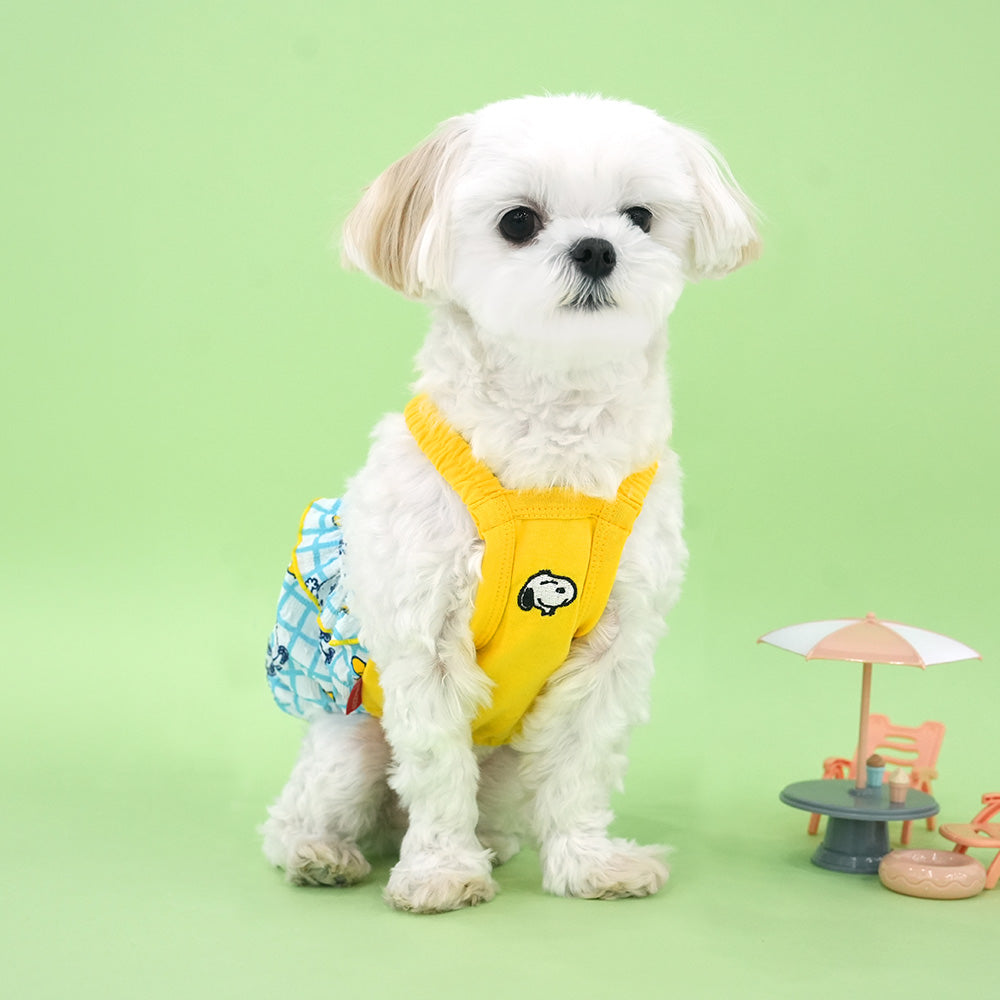 Peanuts Summer Check Pumpkin Dress