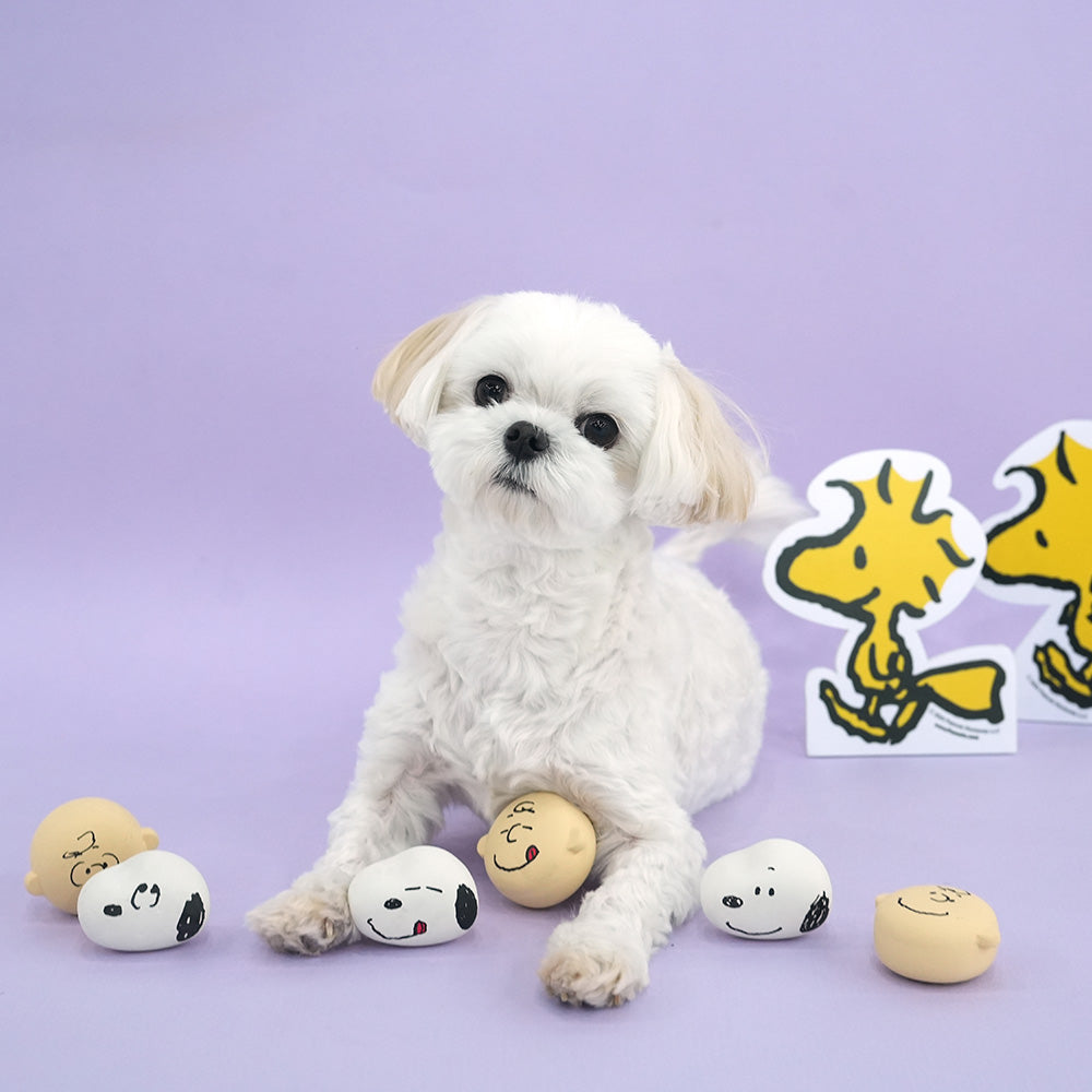 Peanuts Emoji Latex Toy Set