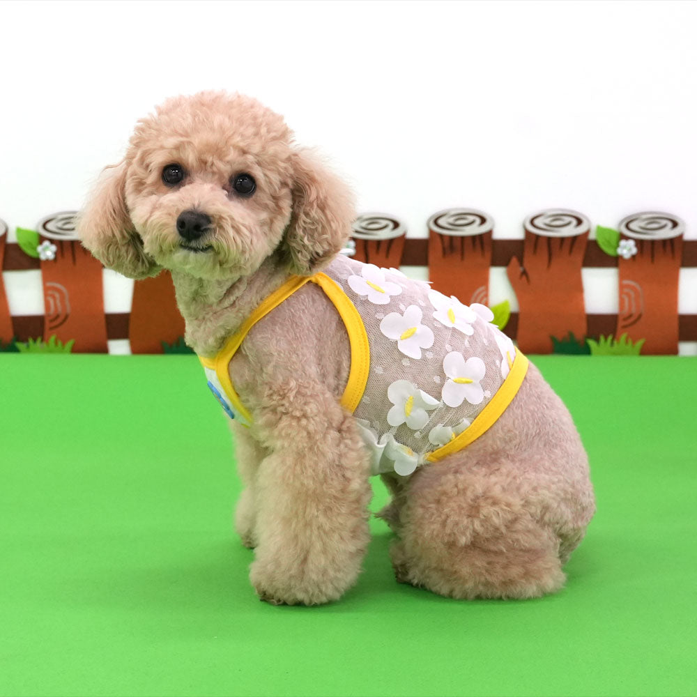 Butterfly Crop T-shirt