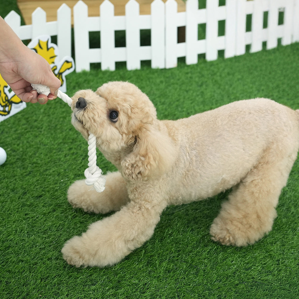 Peanuts Golf & Tennis Rope Toy