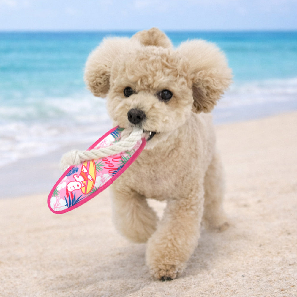 Peanuts Surfing Board Rope Toy