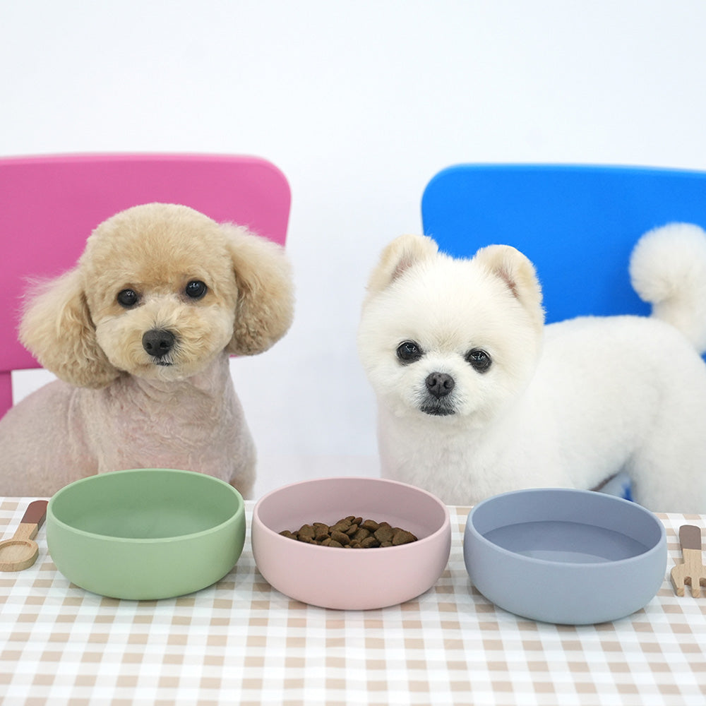 Silicone Pet Bowl