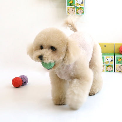 Peanuts Small Ball Latex Toy (4pcs)