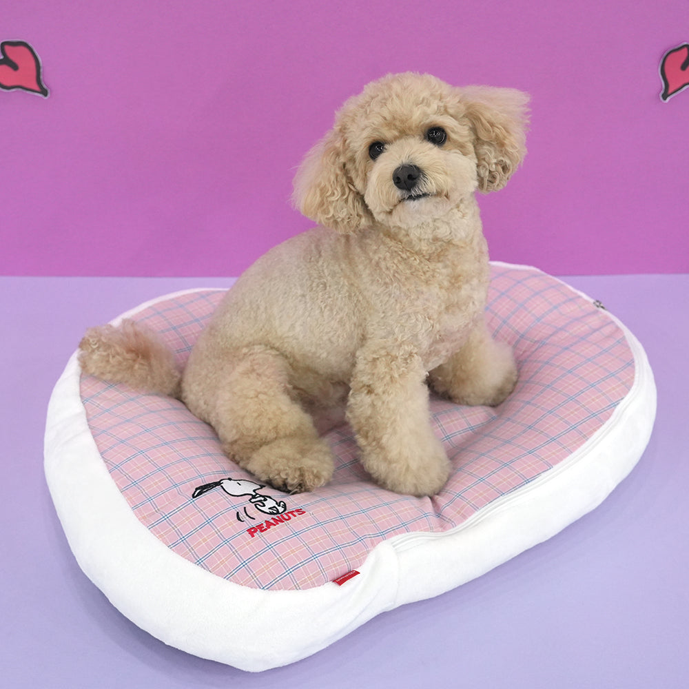 Snoopy Bed
