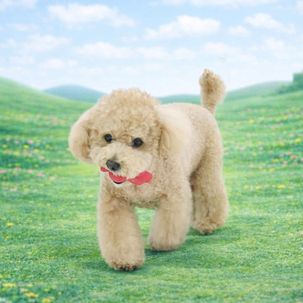 [EVENT] Teletubbies Friends Latex Toy Set