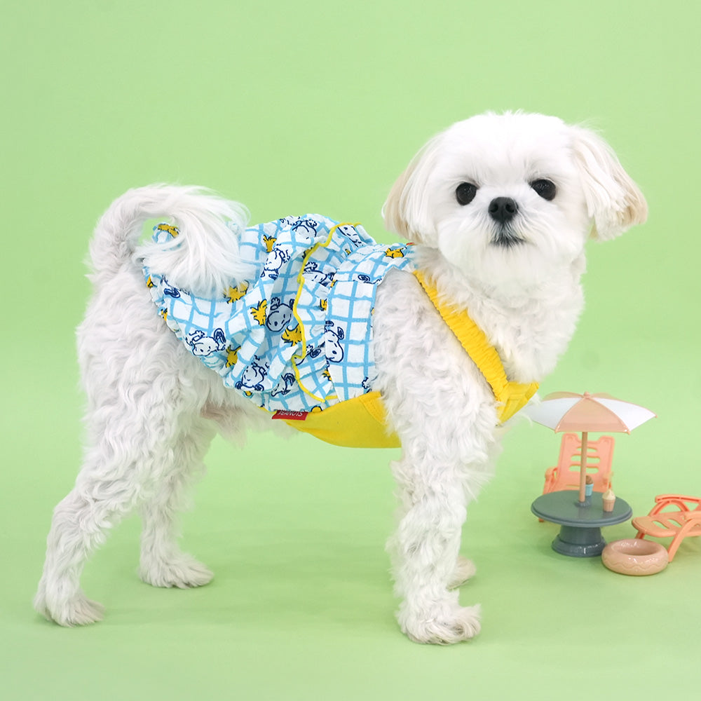 Peanuts Summer Check Pumpkin Dress