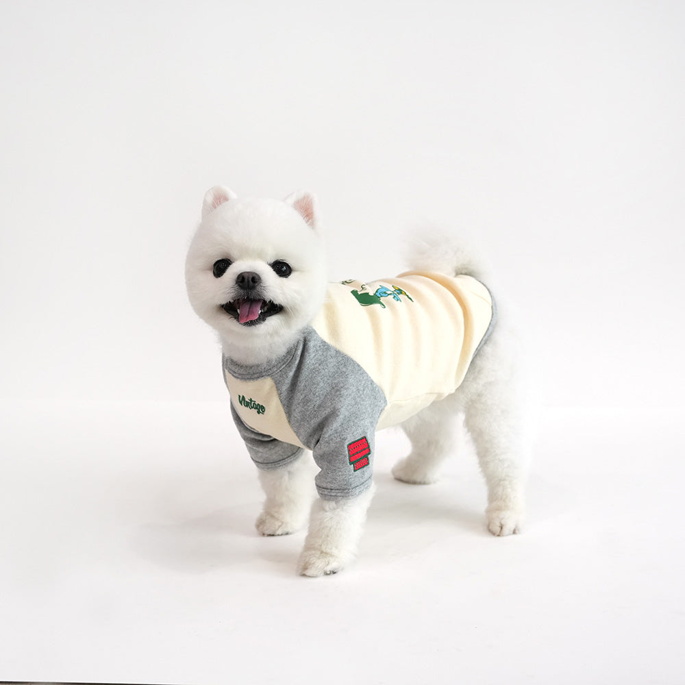 Peanuts Vintage Raglan T Shirt