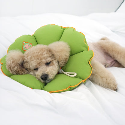 [EVENT] Teletubbies Neck Collar