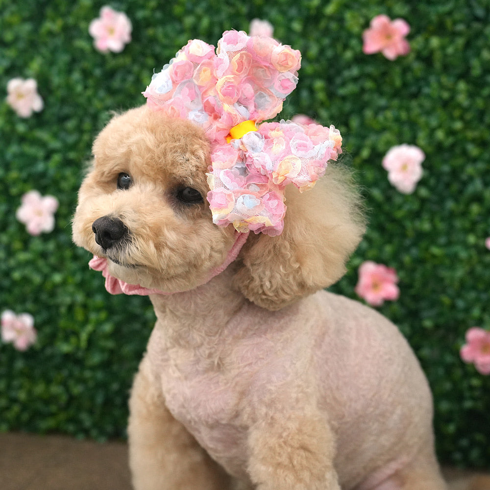 Lovely Pet Scrunchie