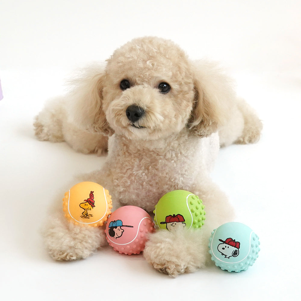 Peanuts Medium Ball Latex Toy