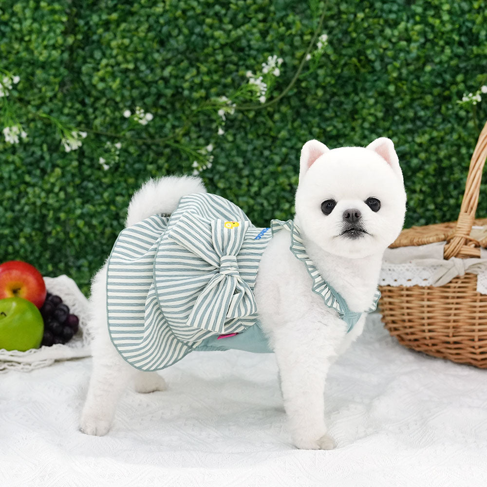 Butter Stripe Frill Dress Set