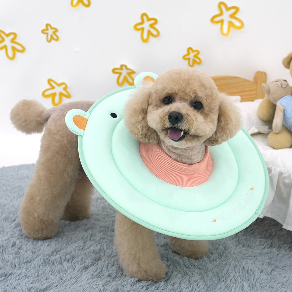 Bear Sponge Neck Collar