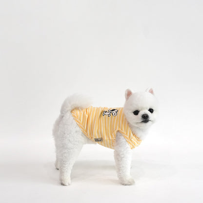 Peanuts Color Stripe T