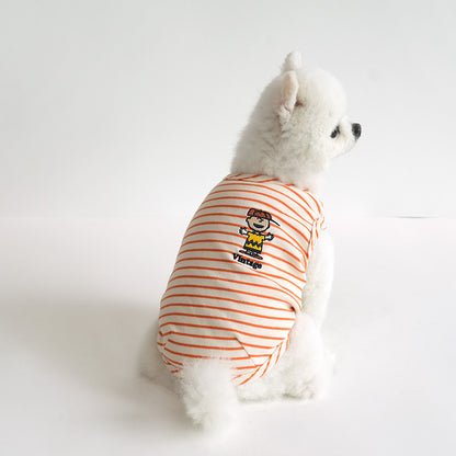 Peanuts Color Stripe T