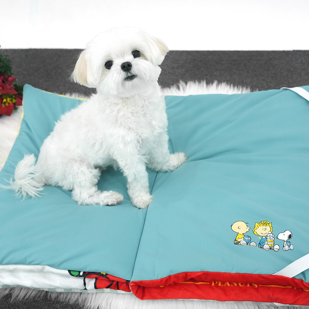 Peanuts Holiday Book Mat