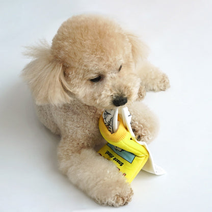 Snoopy Mini Book Pocket Toy