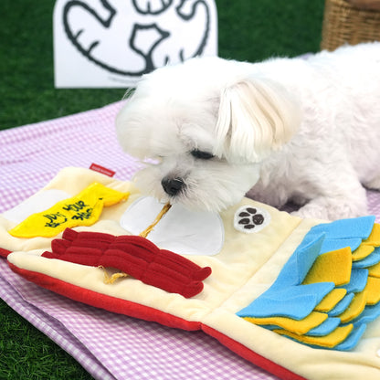 Peanuts Play Mat Toy