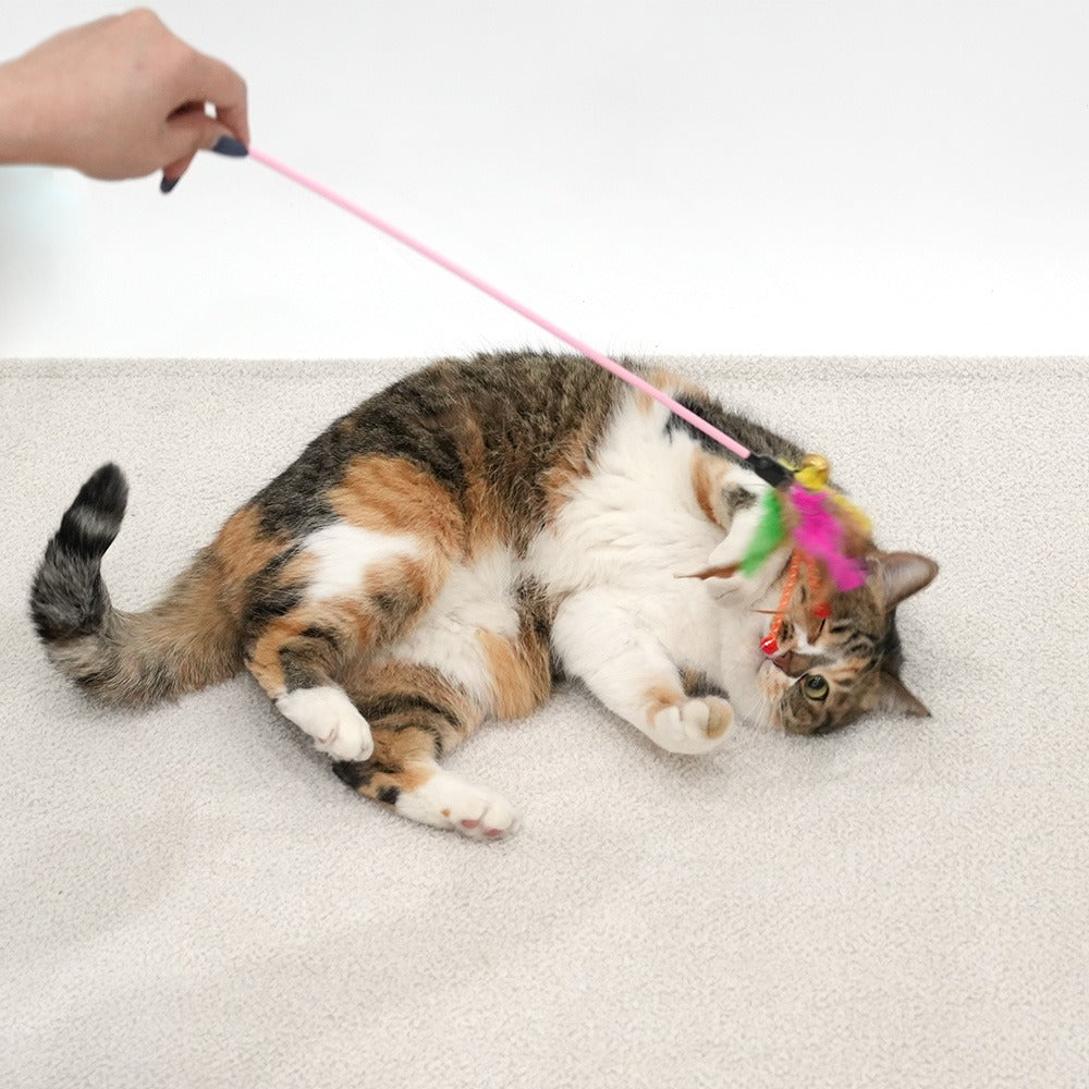 Moulin Rouge Cat Stick Toy