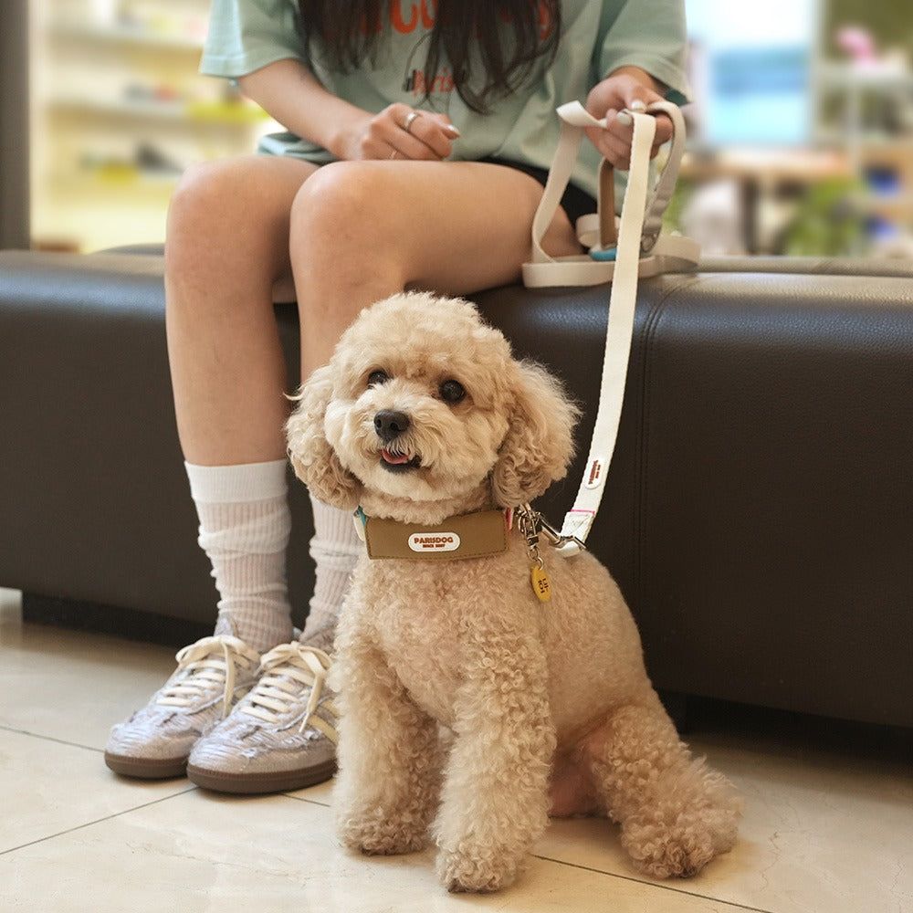 Color Webbing Leash
