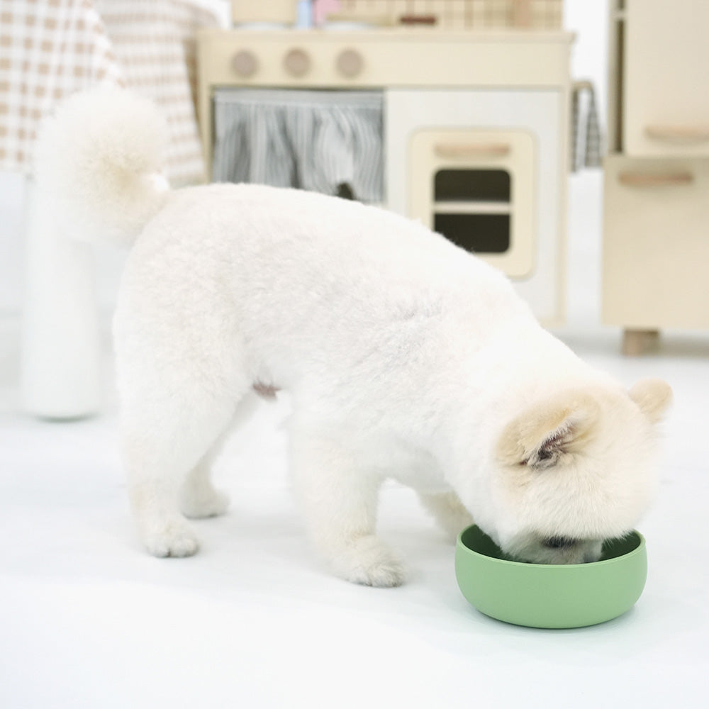 Silicone Pet Bowl