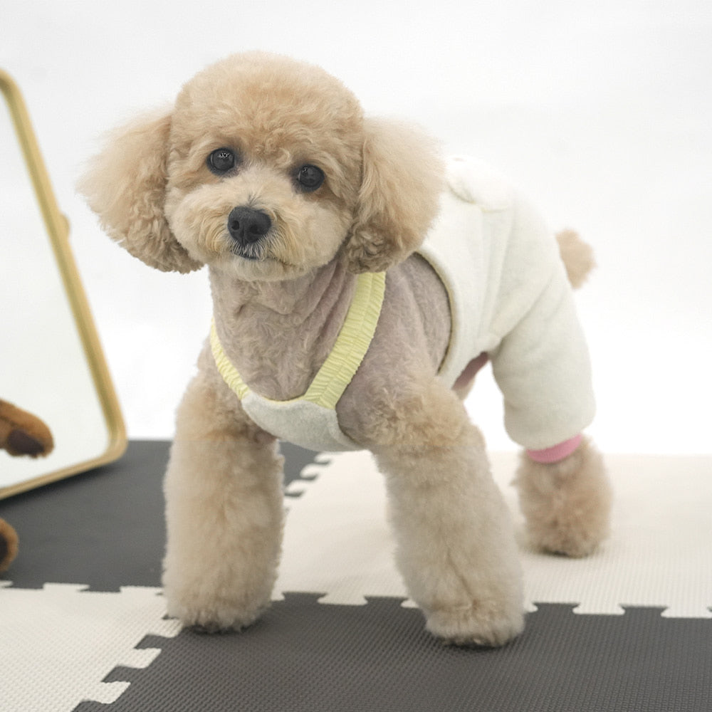 Sleepy Bear All-in-One