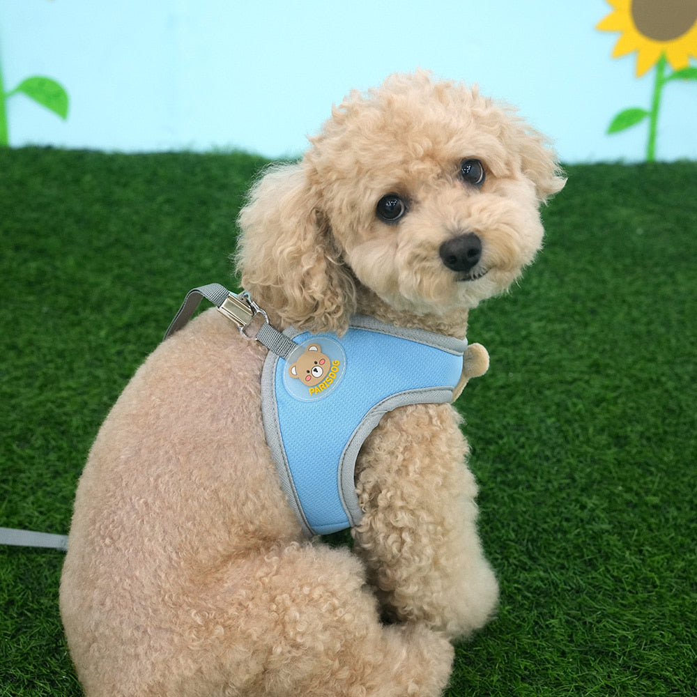Soft Bear Harness