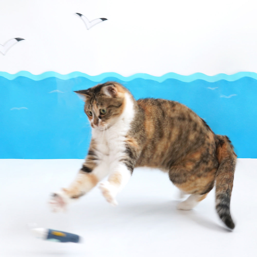 Pariscat Fishing Cat Stick Toy