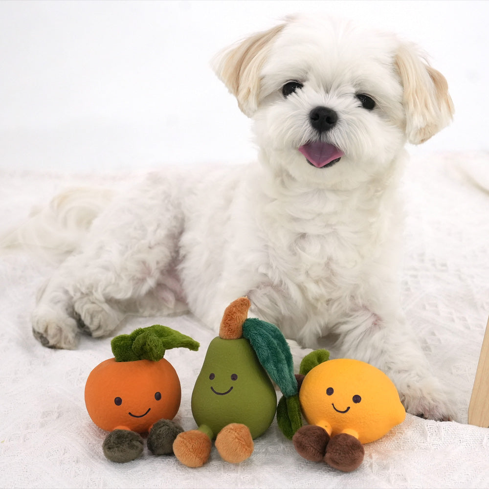 Fruit Friends Latex Toy